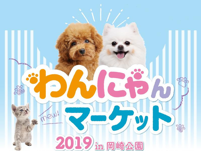 わんにゃんマーケット2019 in 岡崎公園