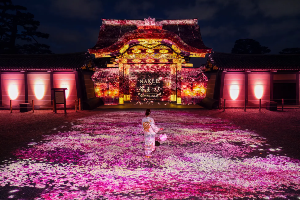 NAKED桜まつり 2024 世界遺産・二条城 ―京都の世界遺産・二条城でアートなお花見 4月7日(日)まで―